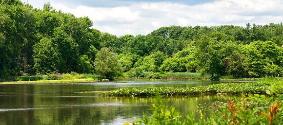 Rahway River Park in Clark, NJ