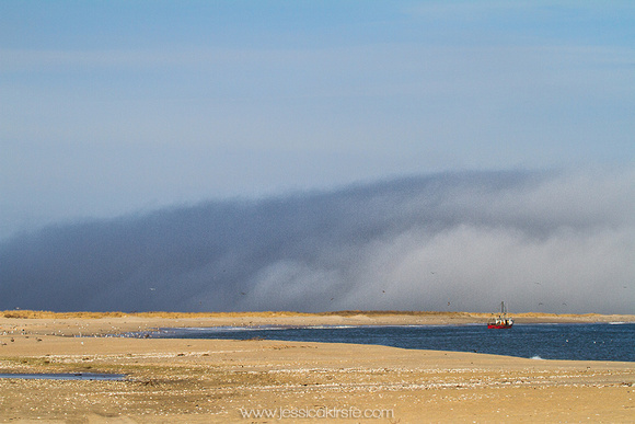 Sandy Hook Fog