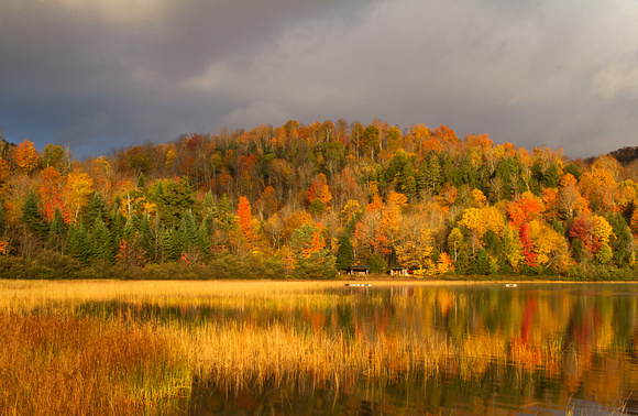 Fall Foliage at Connery Pond