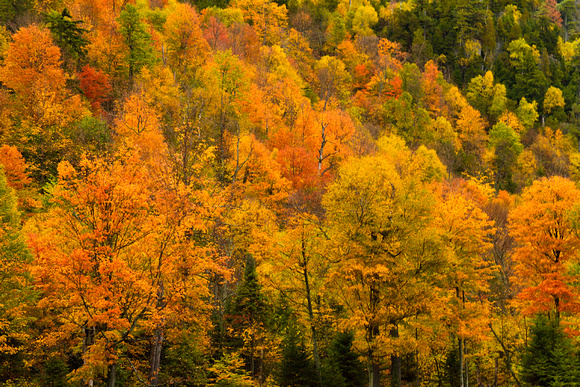 Autumn Colors at Peak